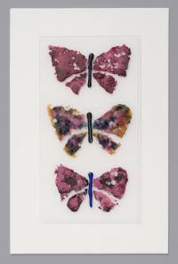 Addison Lynda_Butterflies (35x50)